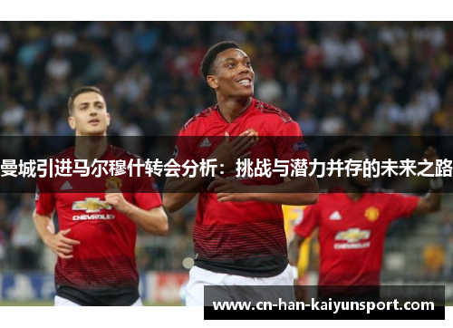 曼城引进马尔穆什转会分析：挑战与潜力并存的未来之路
