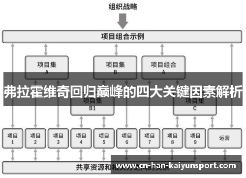 弗拉霍维奇回归巅峰的四大关键因素解析 弗拉霍维奇回归巅峰的四大关键因素解析