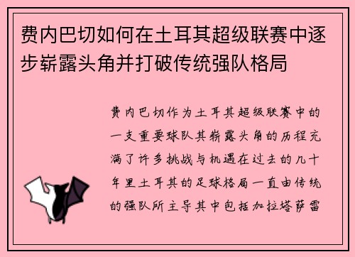 费内巴切如何在土耳其超级联赛中逐步崭露头角并打破传统强队格局
