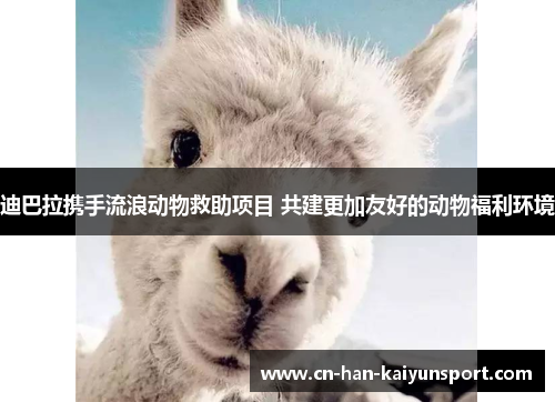 迪巴拉携手流浪动物救助项目 共建更加友好的动物福利环境